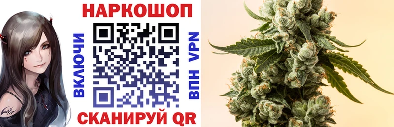 Виды наркотиков купить Кыштым МАРИХУАНА  ГАШ 