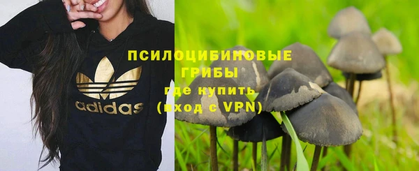 соль ск Алексеевка