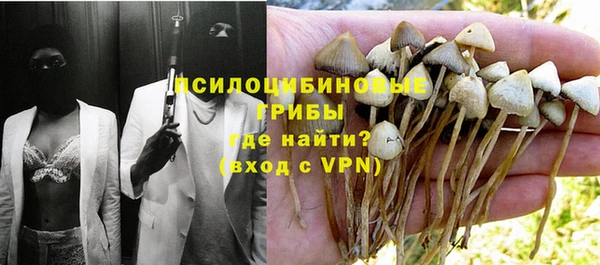 винт Алзамай