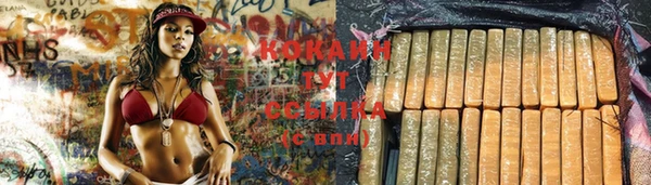 соль ск Алексеевка