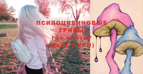MDMA Алексин
