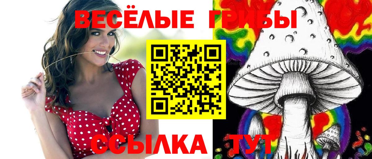 Галлюциногенные грибы мухоморы Кыштым