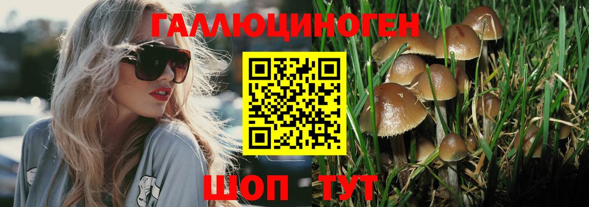 Кыштым  Псилоцибиновые грибы GOLDEN TEACHER  Вход с VPN 